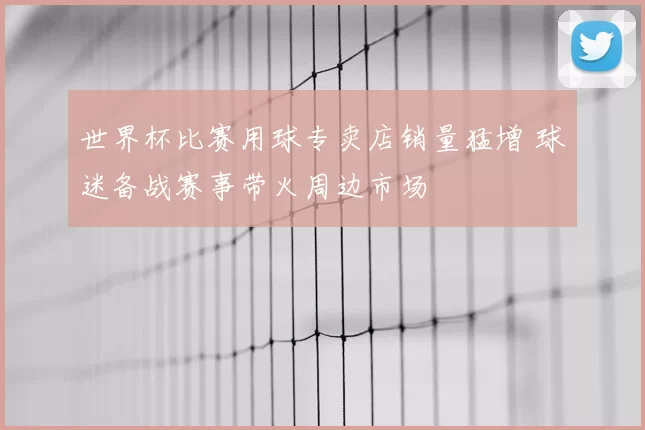 世界杯比赛用球专卖店销量猛增 球迷备战赛事带火周边市场