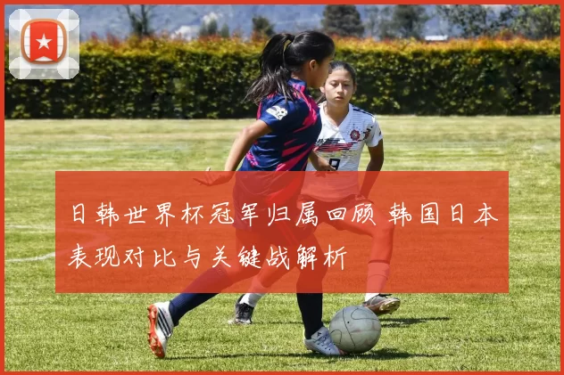 日韩世界杯冠军归属回顾 韩国日本表现对比与关键战解析