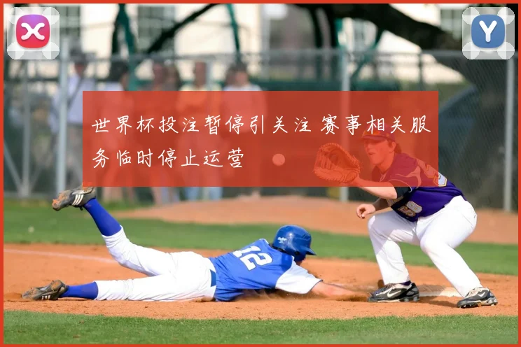 世界杯投注暂停引关注 赛事相关服务临时停止运营